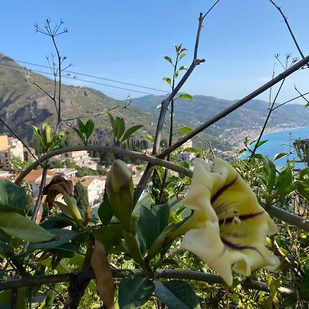 Tauromenium House Apartment Taormina Bagian luar foto